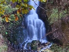 -本溪汤沟绿石谷森林公园