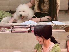 -the rug 飞毯 (朝阳公园店)