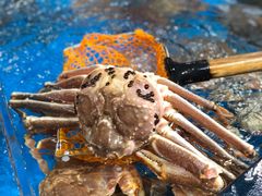 -盒马鲜生(曜一城店)