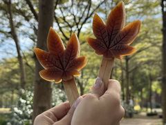 -田野绿世界