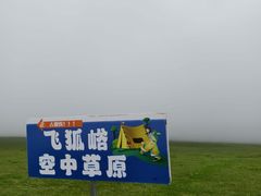 -空中草原