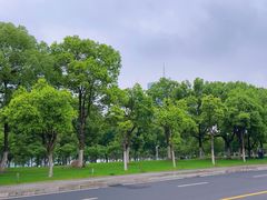 -安徽广播电视台