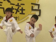 -勇气斑马·巴西柔术&跆拳道(浦东三林店)