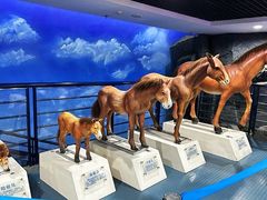 -吉林省自然博物馆