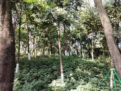 -蟹山公园