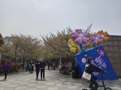 -高东镇樱花园