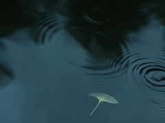 -望江楼公园