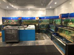水产区-小贝壳酒楼(经九路店)