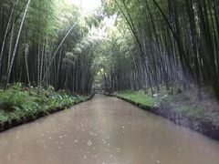 -同里国家湿地公园