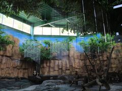 -泉州海丝野生动物世界