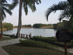 -三亚珠江南田温泉度假区