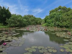 -白沙门生态公园