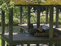 -中国大熊猫保护研究中心雅安碧峰峡基地