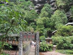 -碧峰峡风景区