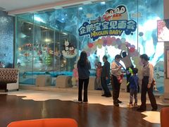-帝企鹅自助餐厅•儿童岛•真企鹅(长隆企鹅酒店)