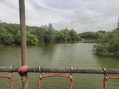 -上海吴淞炮台湾国家湿地公园