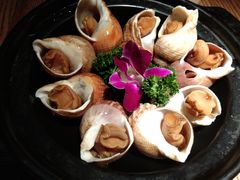 金蝉脱壳之翡翠螺-小和庆·知味(首铸万科店)