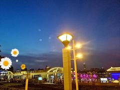 -珠江夜游广州塔·中大码头