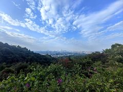 -火炉山森林公园