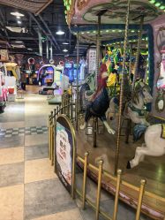 -卡通尼·Safari非洲探索乐园·生日会(金桥国际商业广场店)