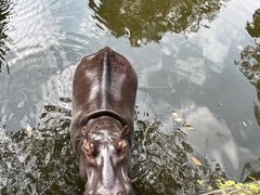 -海南热带野生动植物园
