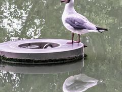 -宗角禄康公园