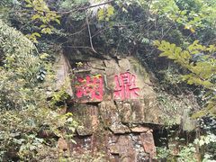 -鼎湖山风景区