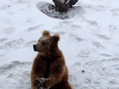 -新疆天山野生动物园
