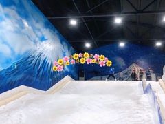 -Mr·Kuma酷么先生雪之乐园