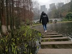 -重庆彩云湖湿地公园
