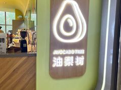 -油梨树AVOCADO TREE(望京店)