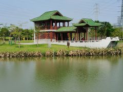 -王借岗森林公园