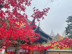 -龙华寺