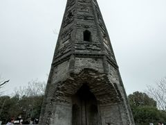 -上海佘山国家森林公园天马山园