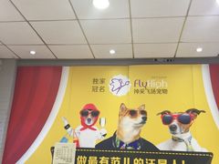 -神采飞扬宠物美容(香港路店)