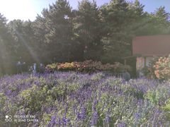 -云峰山自然风景区