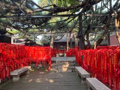 -红螺寺