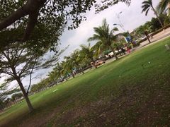 -三亚亚龙湾金棕榈度假酒店