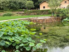 -韶山毛泽东同志故居