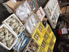 江杨农产品批发市场-江杨农产品批发市场