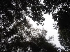 -燕鸣岛