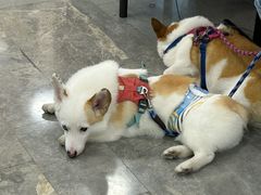 -干老庆贵州留一手烤鱼·地摊火锅(财经大学店)