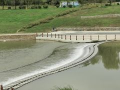 -洨河生态公园