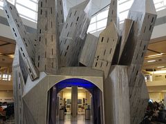 -达拉斯 沃斯堡国际机场