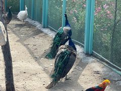 -水上乐园·欢乐世界