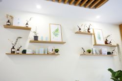 -悦芳庭美肤美体品牌集合店