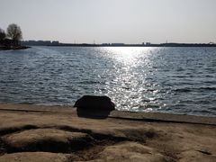 -丁香湖公园