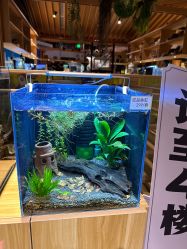 -造物庄园 萌宠纪(苏州湾歌林公园店)