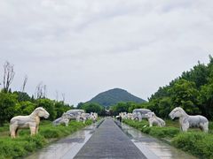 -明鲁王陵