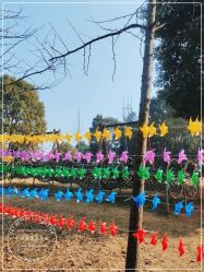 -长沙小顽国景区